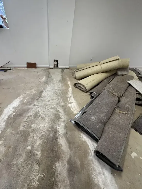 Basement carpet and pad pulled up and rolled during a water damage cleanup