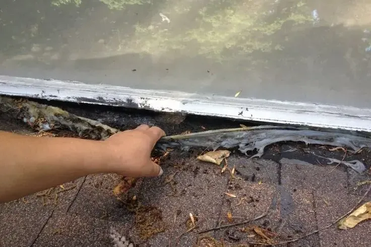 Inspector checking rotted, water-soaked roof decking at the edge of a roof leak